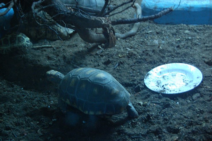 Nanderwanderung im  Nordh&auml;user Zoo nnz-City Scout on Tour