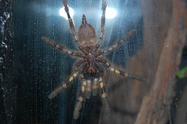 Nanderwanderung im  Nordh&auml;user Zoo nnz-City Scout on Tour