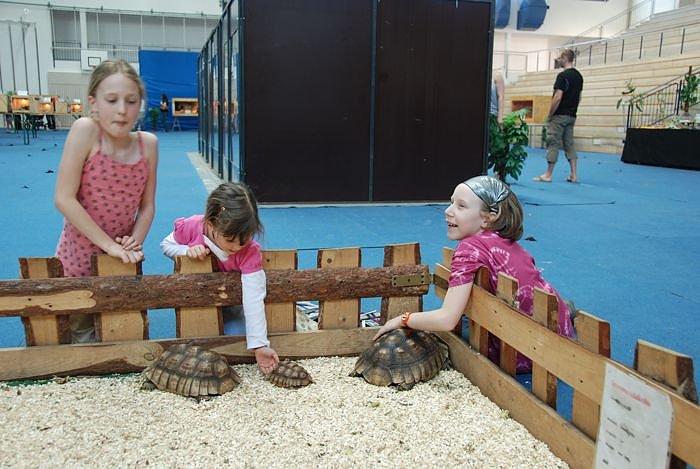 Welt der Reptilien in der Wiedingsburghalle