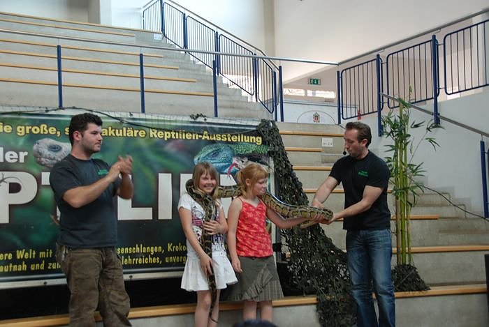 Welt der Reptilien in der Wiedingsburghalle