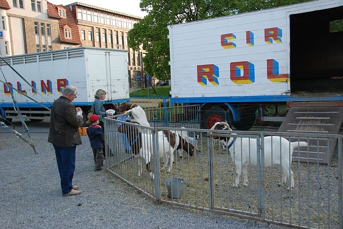 Circus Rolina gastiert in Nordhausen 