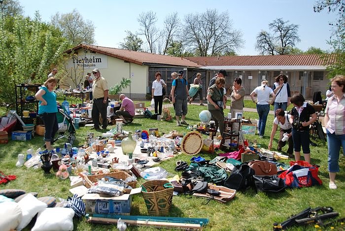 Tierheimfest  in Nordhausen
