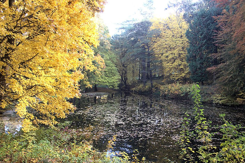 Herbstfarben am Panoramaweg bei Blankenburg