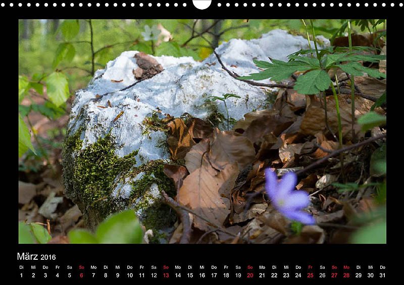 Am Karstwanderweg im S&uuml;dharz