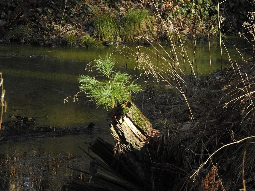 Peter Blei zu Besuch auf Schloss Oranienbaum