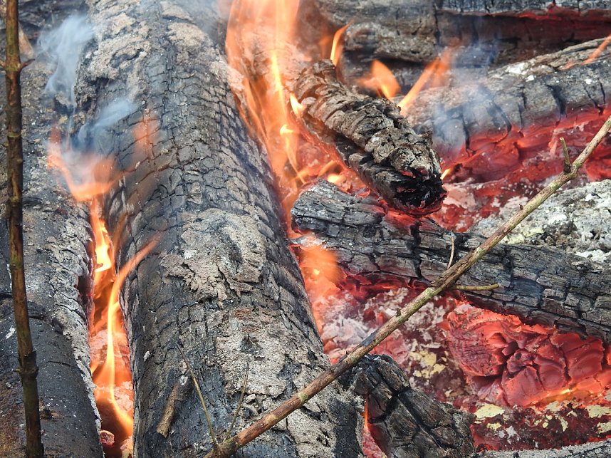 Schlittenhunderennen 2016 in Benneckenstein