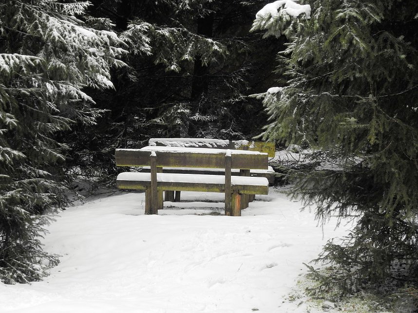 Schlittenhunderennen 2016 in Benneckenstein