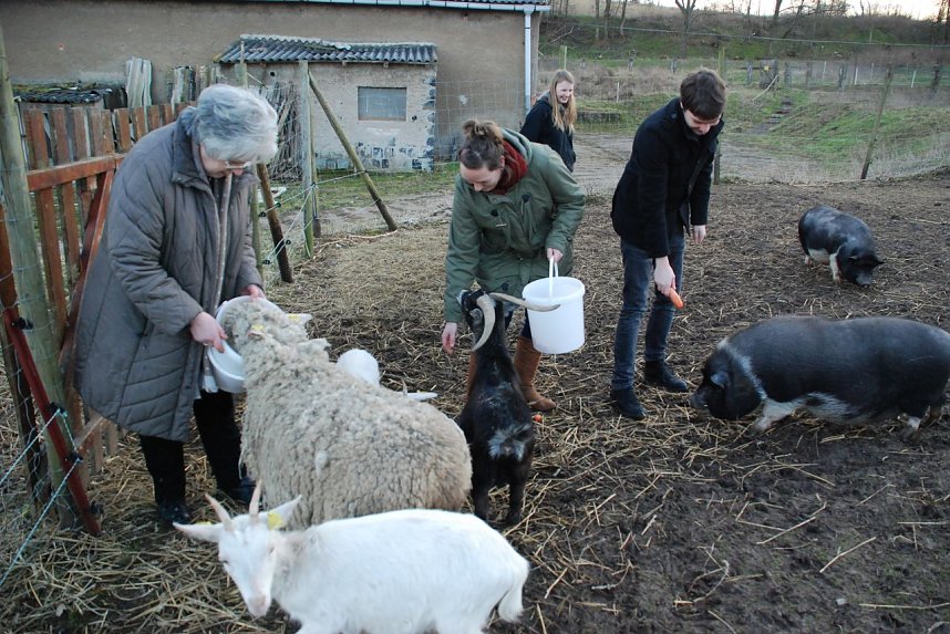 Riesenspa&szlig; beim F&uuml;ttern von Ziegen, Schafen und Schweinen im Streichelzoo. Im Bild von links: Jutta Fischer, Cathleen Scheiner, Alexandra B&ouml;ttger und Martin Schulze.