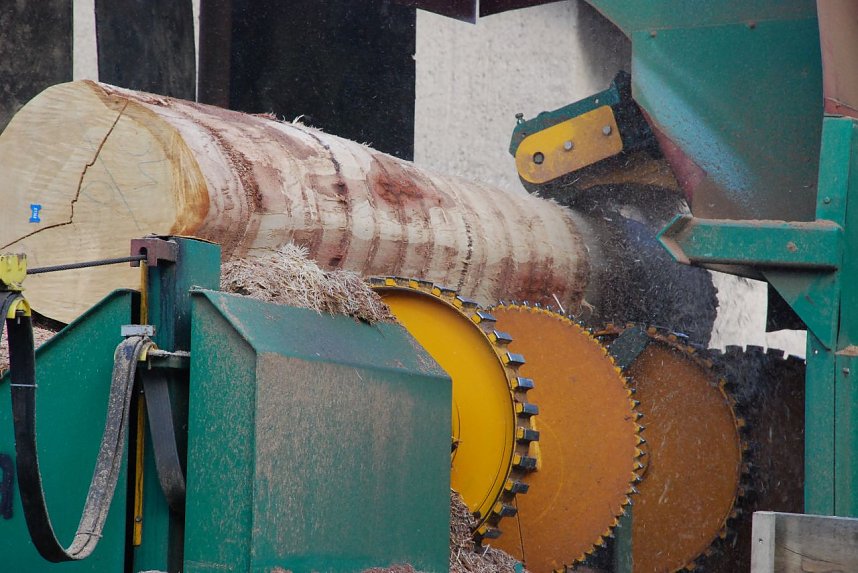 Bevor das Holz geschnitten wird, muss die Rinde herunter. Dies geschieht voll automatisiert.