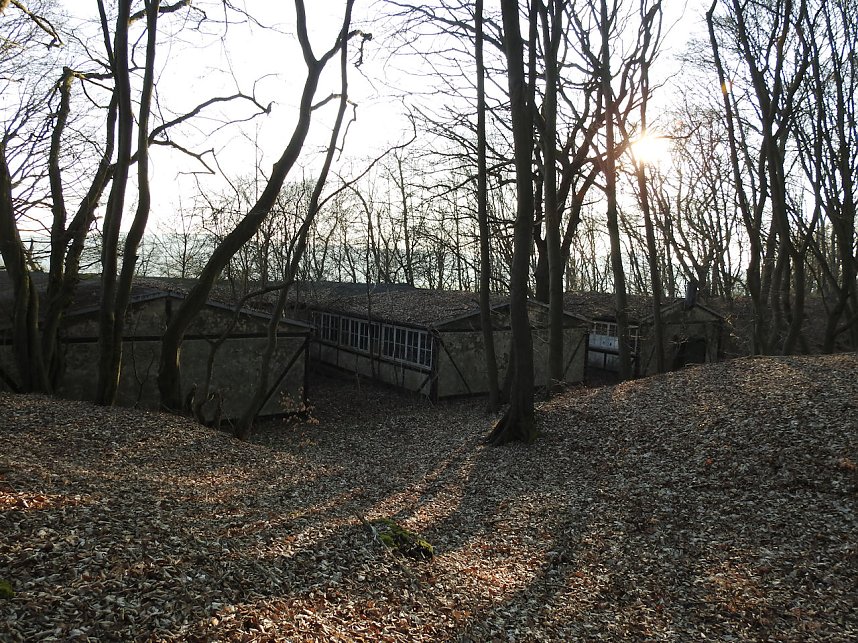Ritterberg bei Rottleberode