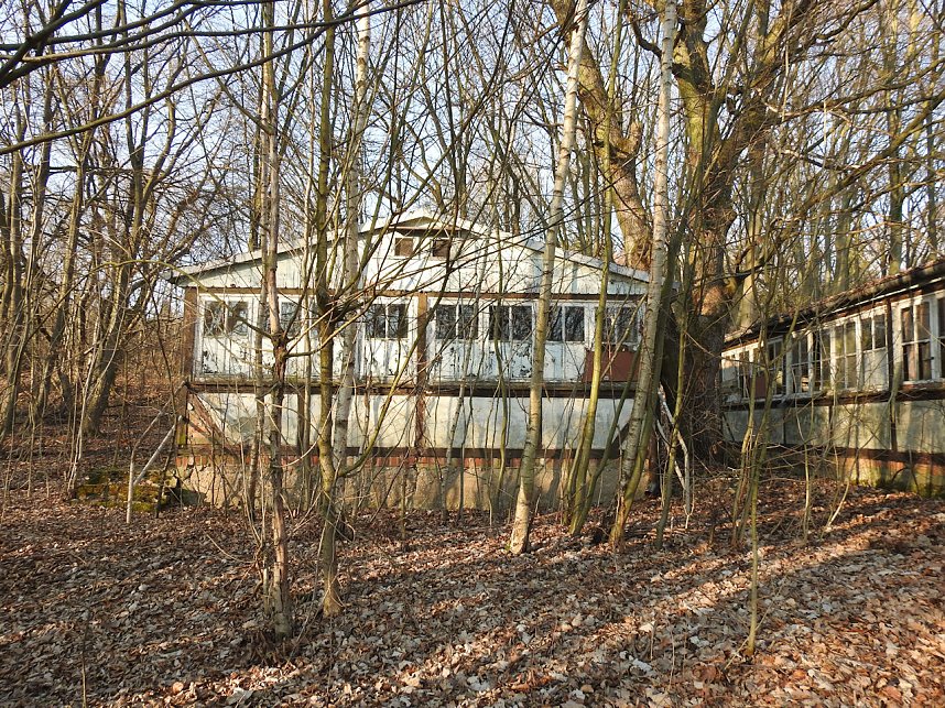 Ritterberg bei Rottleberode