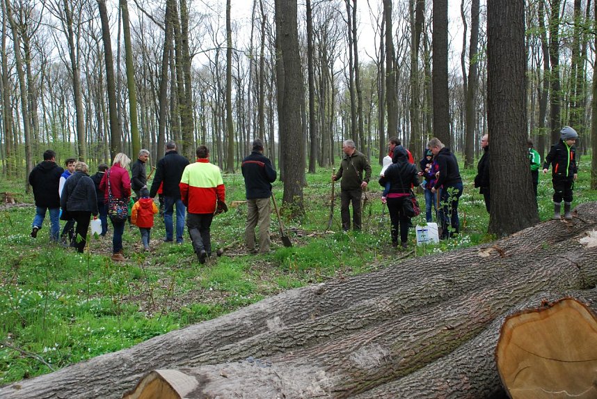 Aufbruch in den Wald. Jeder suchte nun die Stelle, an der er eine Roteiche pflanzen und - f&uuml;r sp&auml;tere Besuche sehr praktisch - ein Namensschild hinstellen konnte.