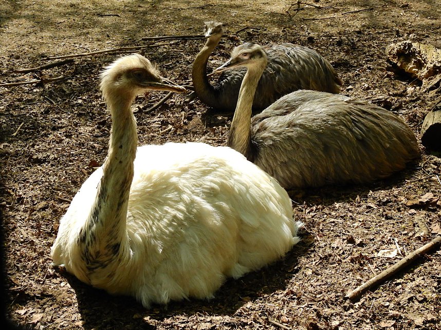 Peter Blei unterwegs in K&ouml;then