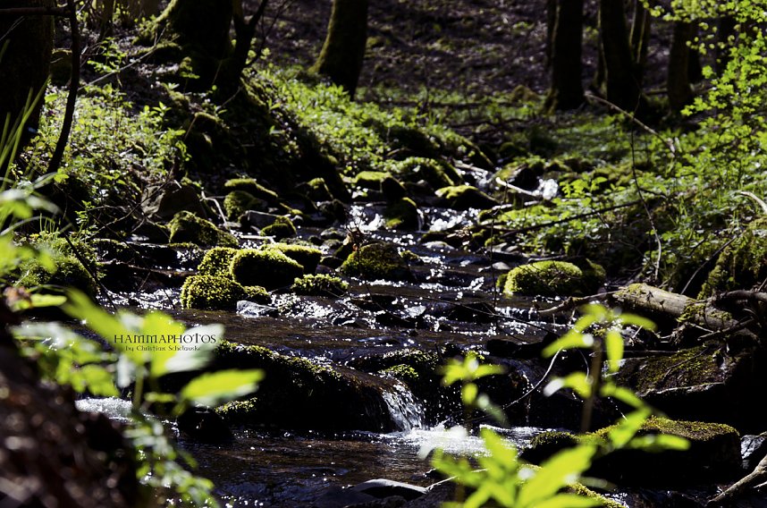 Unterwegs im Naturpark S&uuml;dharz