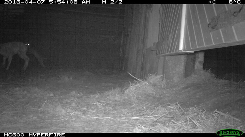 Bilder einer &Uuml;berwachungskamera