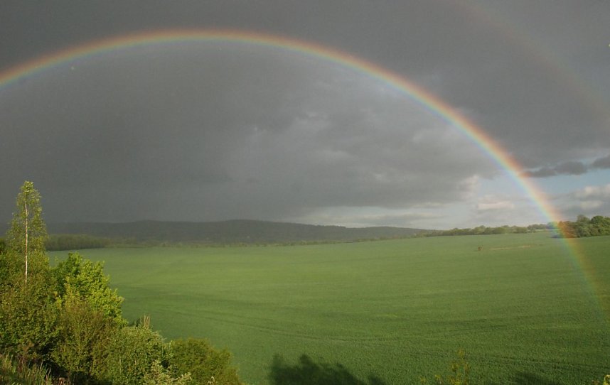 Wie unter einer Glocke befand sich die Landschaft zwischen Riestedt und Bahnhof Riestedt.