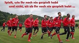 Ein Motiv der HFC-Fans.