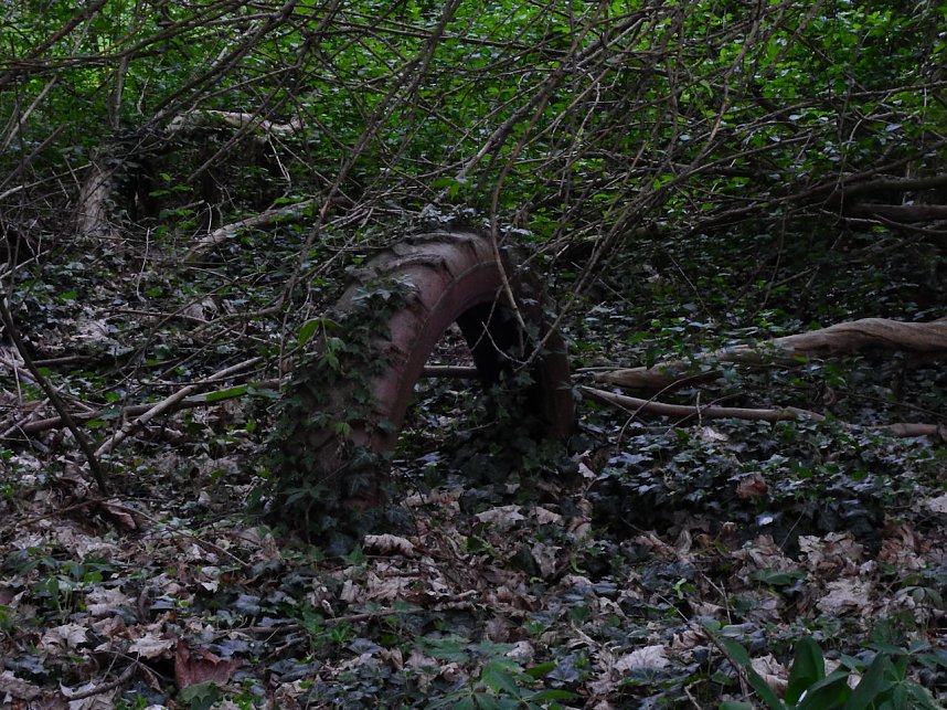 Unwirkliche Orte - Peter Blei war diesmal in einem nur scheinbar verlassenen Betrieb unterwegs