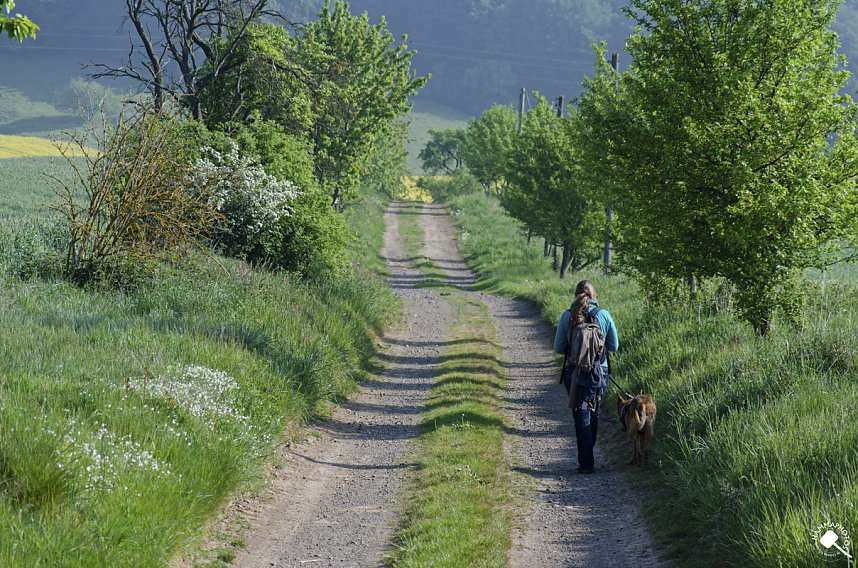 Wanderung im Morgengrauen