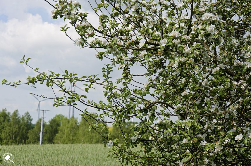 Wanderung im Morgengrauen