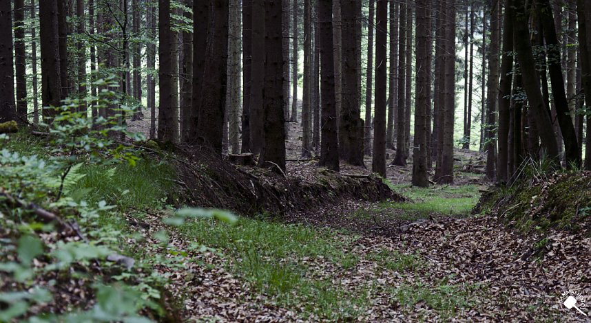 Wandergr&uuml;&szlig;e aus Rothes&uuml;tte