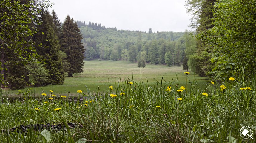 Wandergr&uuml;&szlig;e aus Rothes&uuml;tte