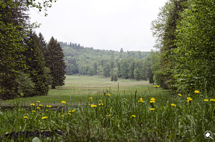 Wandergr&uuml;&szlig;e aus Rothes&uuml;tte