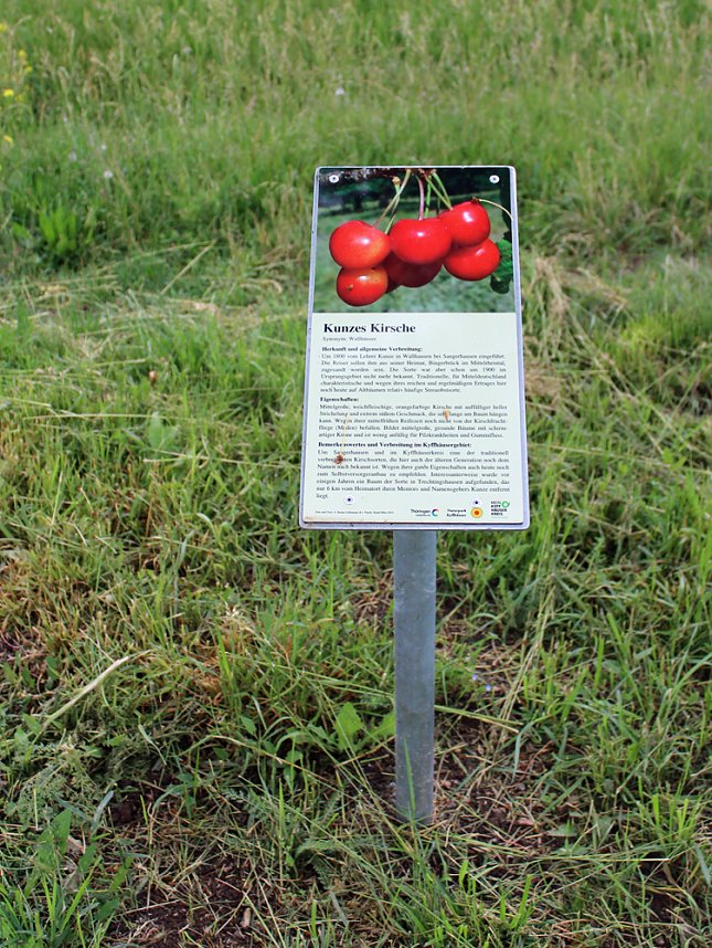 Schon etwas vom Th&uuml;ringer Hammelsack geh&ouml;rt?