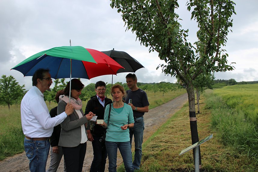 Schon etwas vom Th&uuml;ringer Hammelsack geh&ouml;rt?