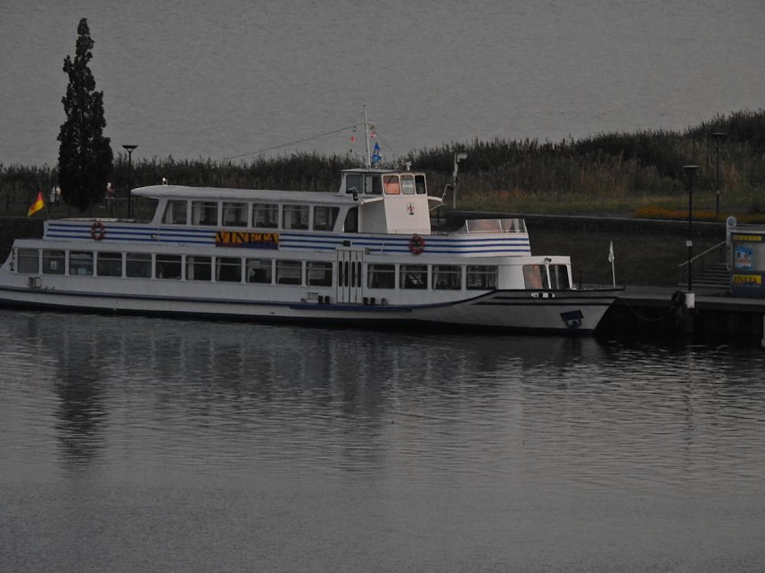 Spinnen im Mondschein am Goitzsche See