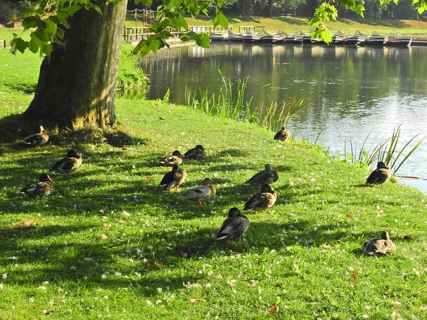 Kirche im W&ouml;rlitzer Park
