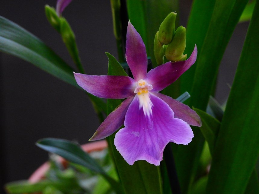 25 Jahre Keramikscheune Spickendorf