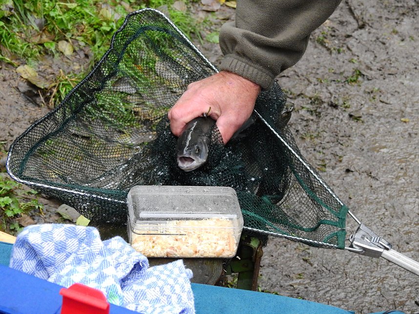 Peter Blei unterwegs in Altenbrak
