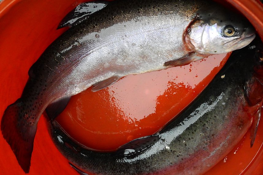 Peter Blei unterwegs in Altenbrak