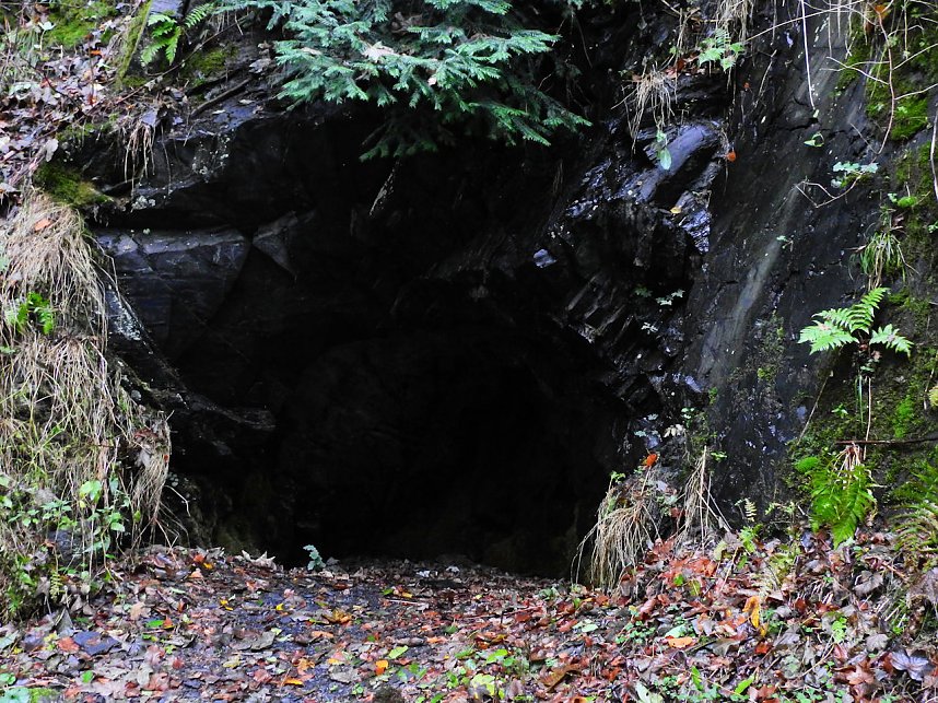 Peter Blei unterwegs in Altenbrak