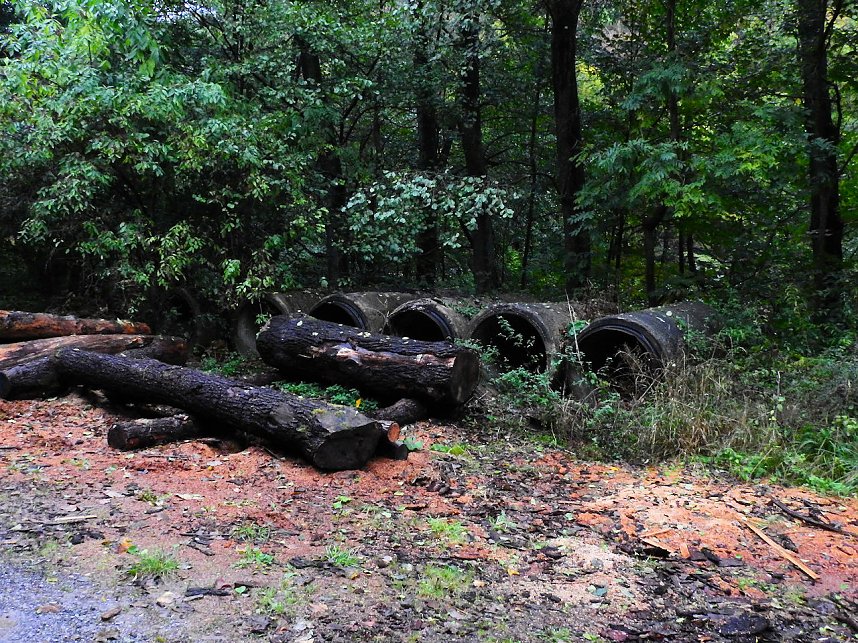 Peter Blei unterwegs in Altenbrak