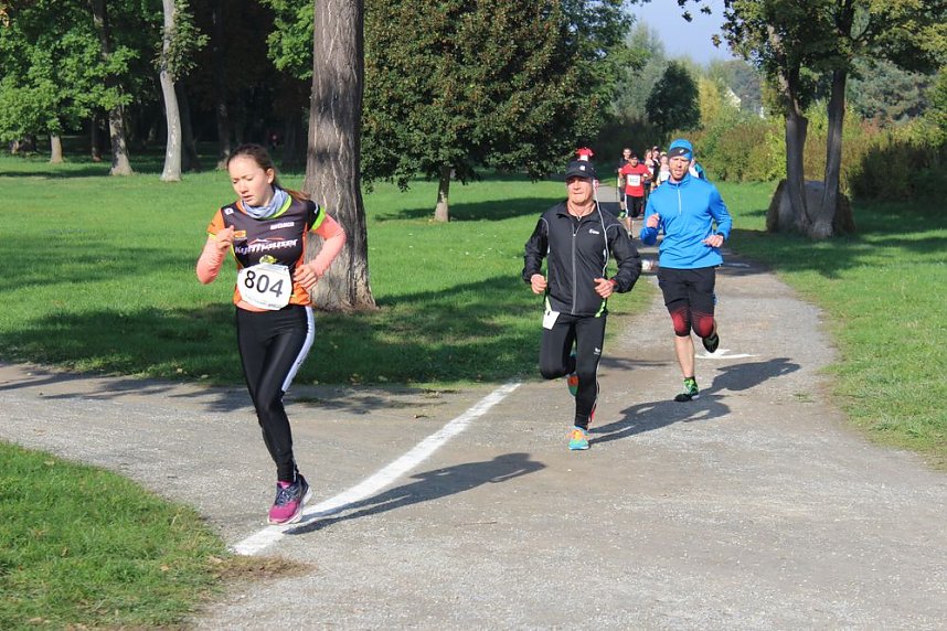 Die langen Strecken beim Stadtparklauf