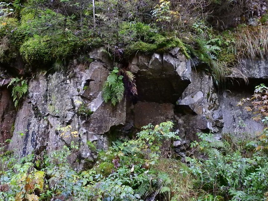 Unterwegs im sch&ouml;nen Harz