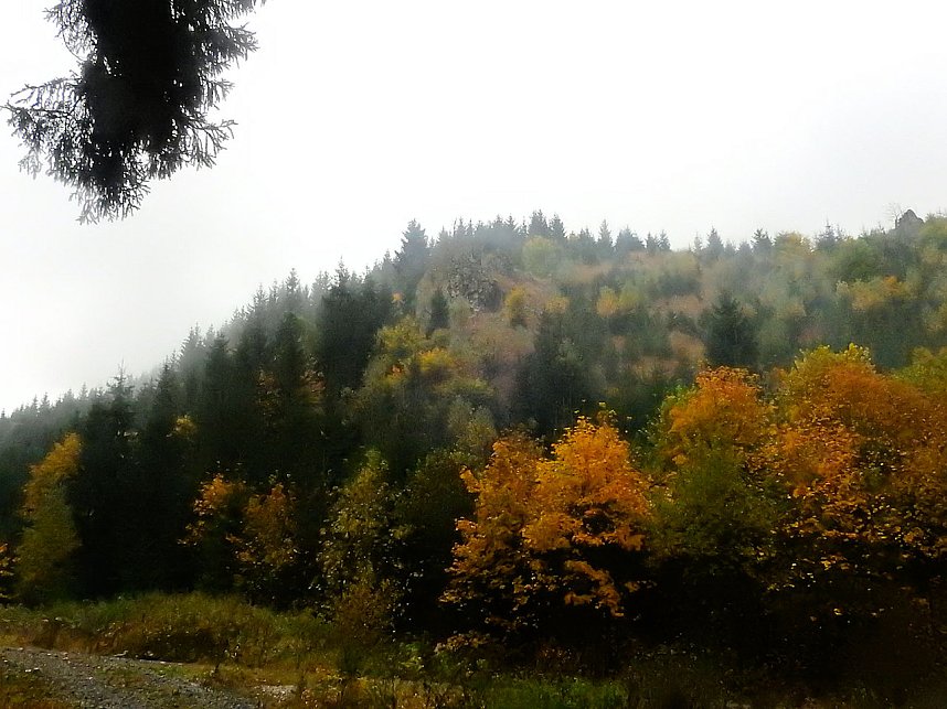 Unterwegs im sch&ouml;nen Harz