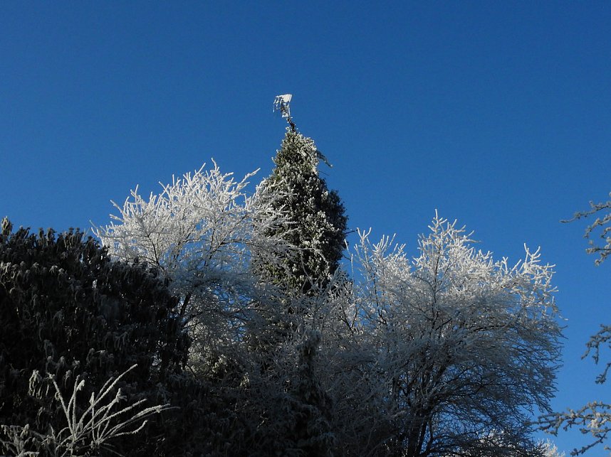 Ein Traum in Wei&szlig;