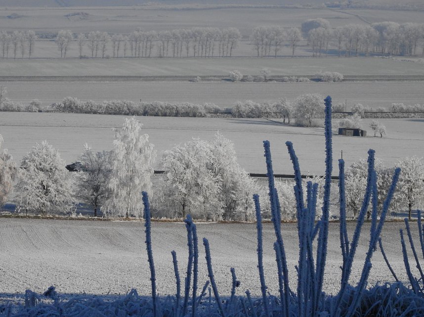 Ein Traum in Wei&szlig;