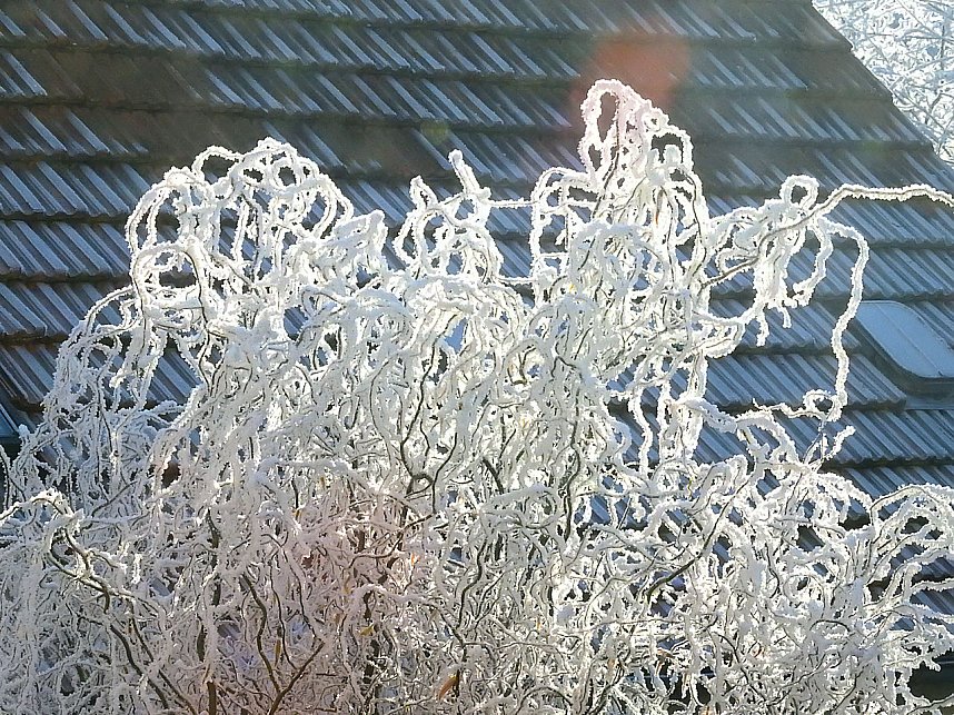 Ein Traum in Wei&szlig;