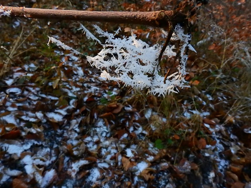 Ein Traum in Wei&szlig;