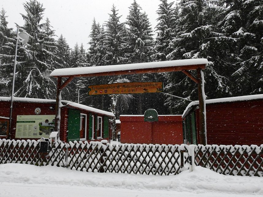 Unterwegs im winterlichen Harz