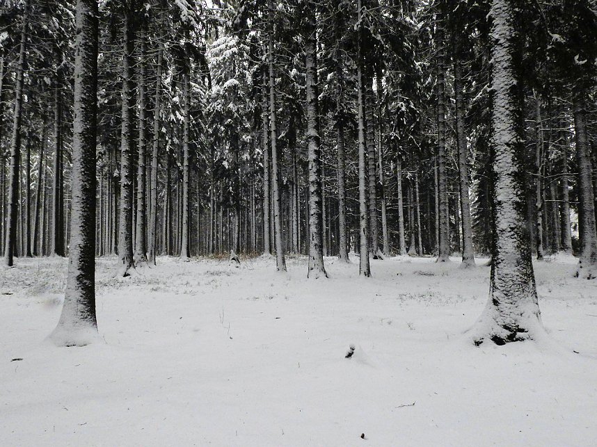 Unterwegs im winterlichen Harz