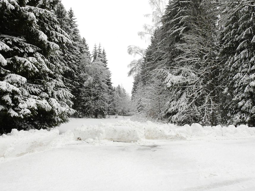 Unterwegs im winterlichen Harz
