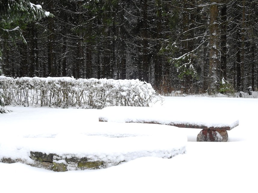 Unterwegs im winterlichen Harz