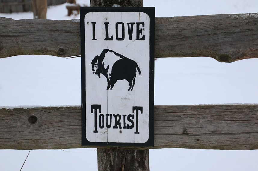 Schlittenhunderennen in Hasselfelde