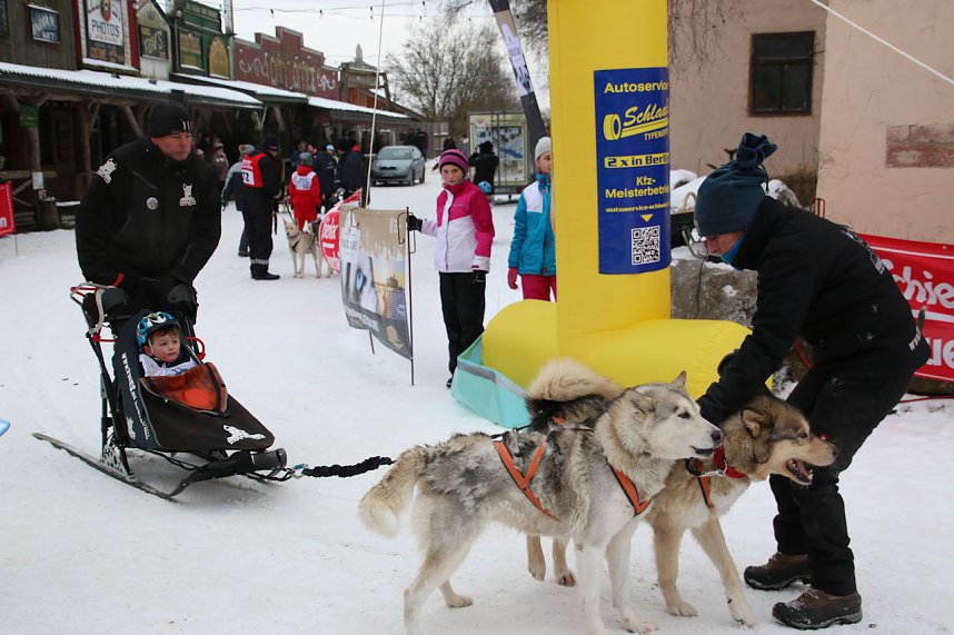 Schlittenhunderennen in Hasselfelde