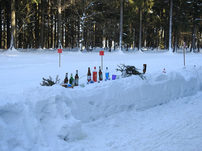 Schlittenhunderennen in Benneckenstein